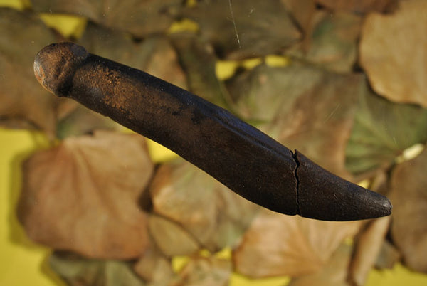 2010: Ancient Sex - We've Always Been Doing 'It'