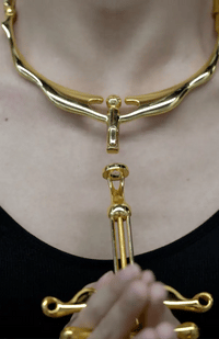UPKO Migratory Bird Metal Collar and Finger Clamps Set