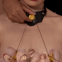 UPKO Mystic Bond Collar with Pulling Chain Nipple Clamps