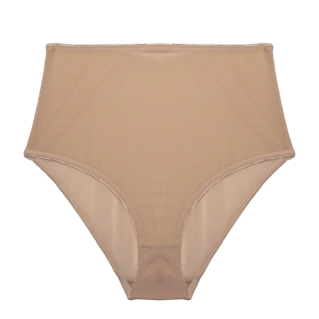 Bettie Page Champagne Mesh Classic Brief