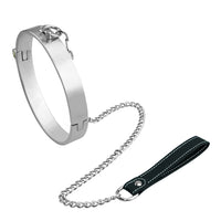 Brushed Stainless Steel O-Ring Collar with Leash