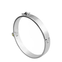 Brushed Stainless Steel O-Ring Collar with Leash