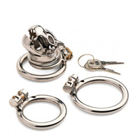 Caged Cougar Locking Chastity Cage