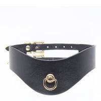 Love in Leather Faux Leather Posture Collar