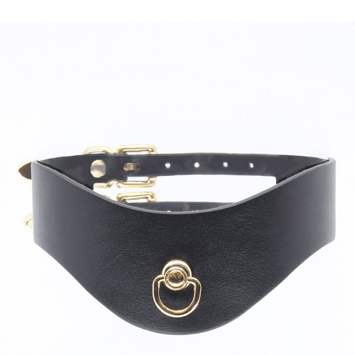 Love in Leather Faux Leather Posture Collar