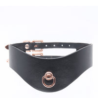 Love in Leather Faux Leather Posture Collar
