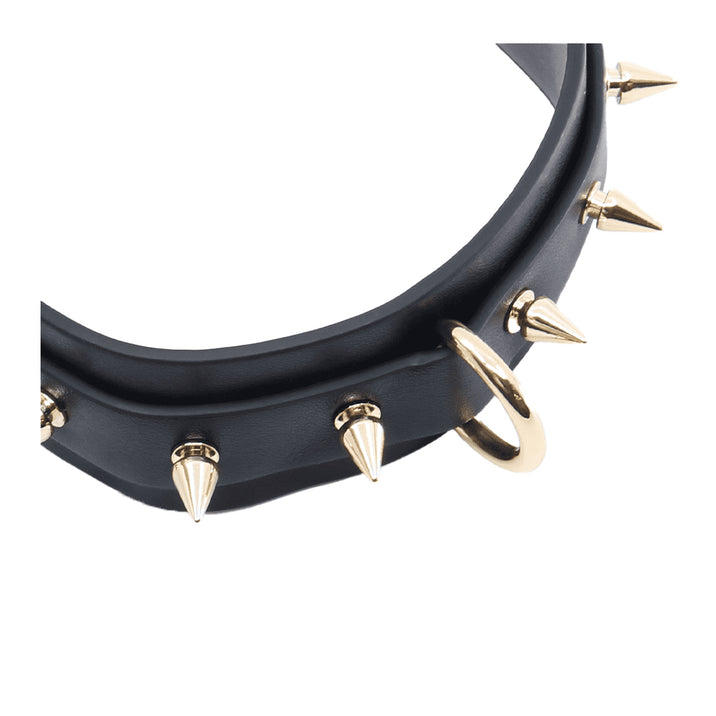 Love in Leather Spiked Faux Leather Collar