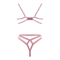 Muse Blush Floral Applique Lingerie Set