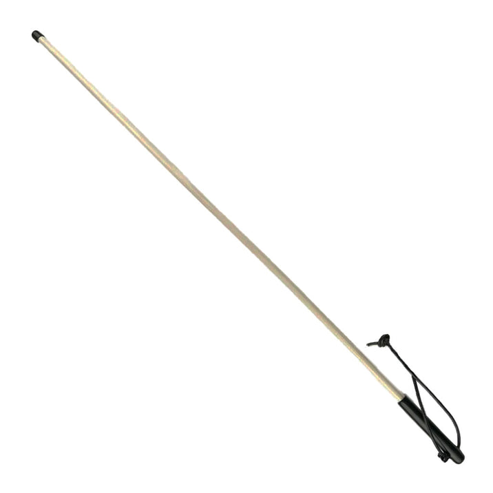 Sax Leather Mistress Rattan Cane