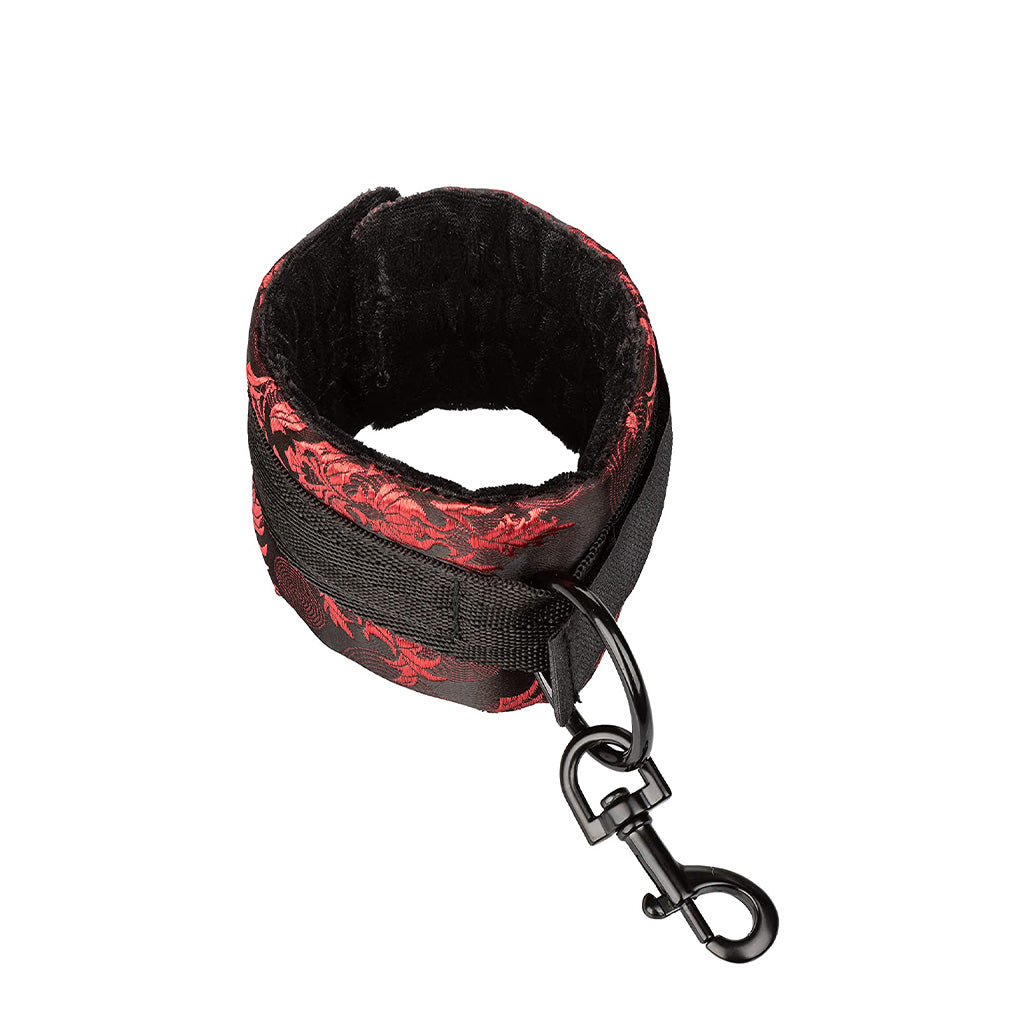 Scandal Hog Tie