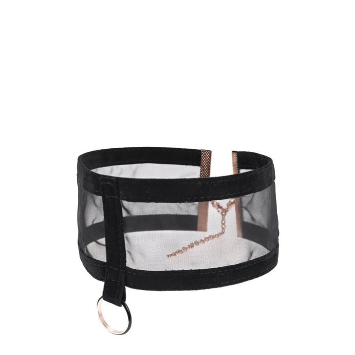 Sex & Mischief Sheer Day Collar