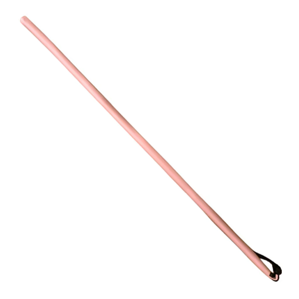 Spartacus Leather Wrapped Cane