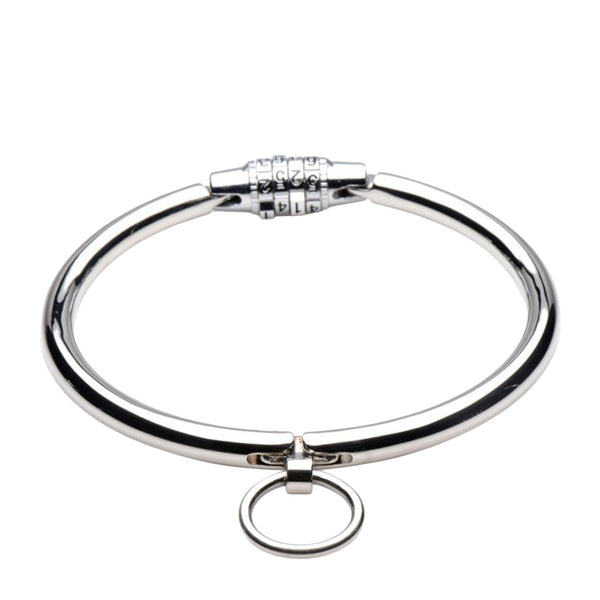 Stainless Steel Combination Lock Slave Collar