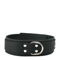 Strict Leather Lightweight Lined Collar