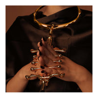 UPKO Migratory Bird Metal Collar and Finger Clamps Set