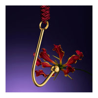 UPKO Vaginal/Anal Hook