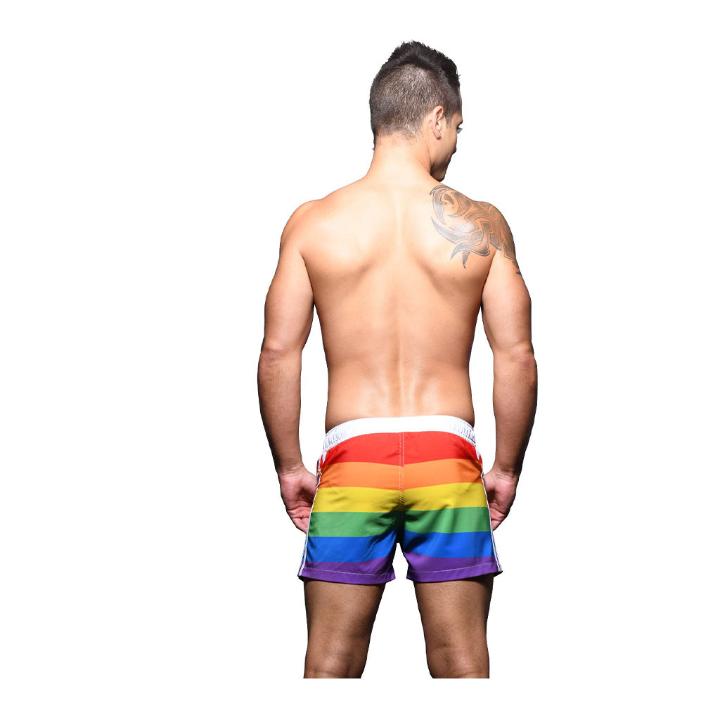 Andrew Christian Pride Stripe Swim Shorts