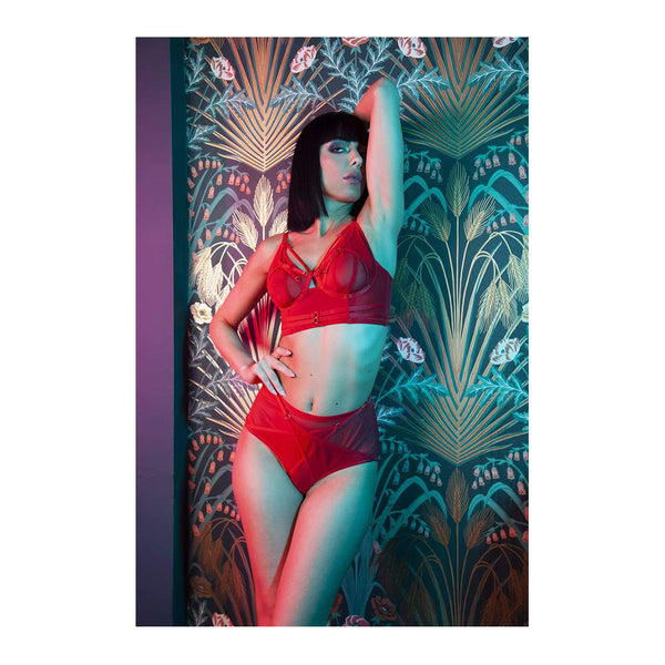 Playful Promises Eddie Crossover High Waist Brief