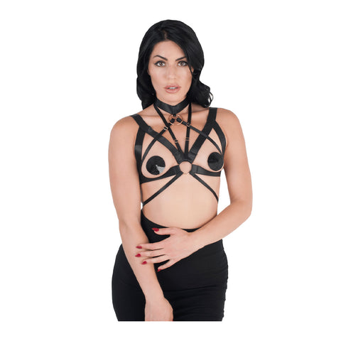 Body Harnesses