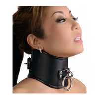Strict Leather Locking Posture Collar