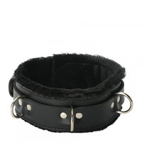 Strict Leather Premium Fur Lined Locking Collar