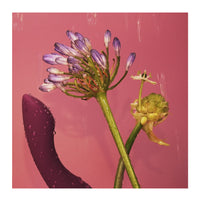 Svakom Amy 2 G-Spot Vibrator