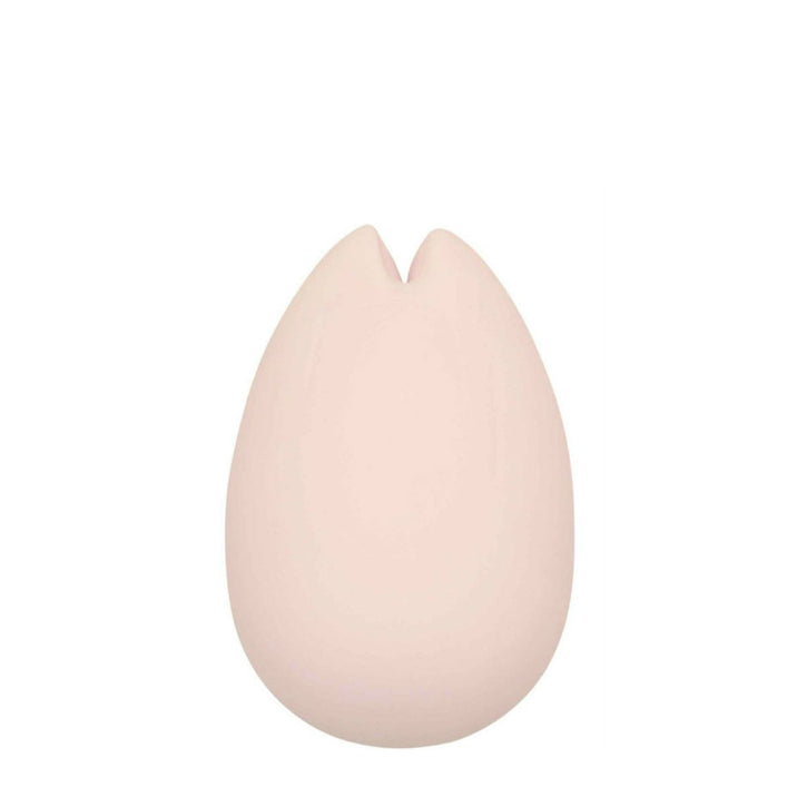 Iroha Sakura Vibrator