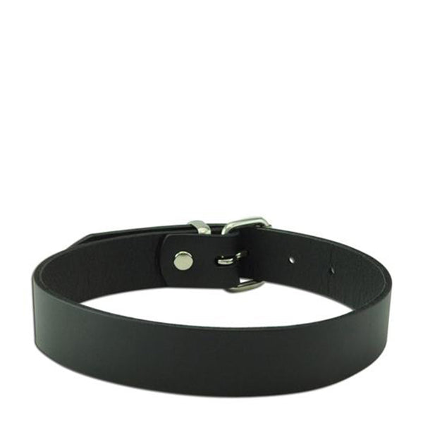 Wild Hide Plain Wide Collar Black