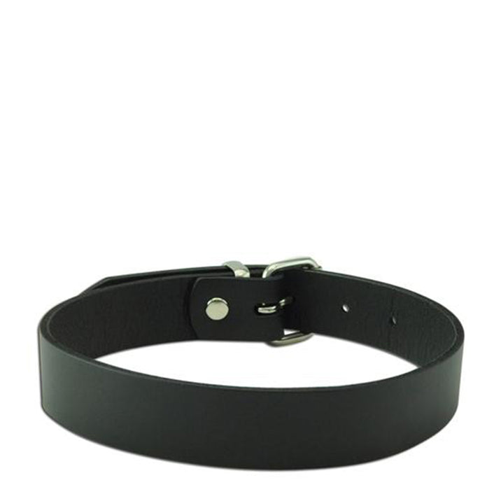 Wild Hide Plain Wide Collar Black
